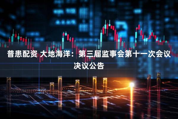 普患配资 大地海洋：第三届监事会第十一次会议决议公告