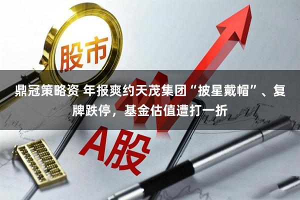 鼎冠策略资 年报爽约天茂集团“披星戴帽”、复牌跌停，基金估值遭打一折